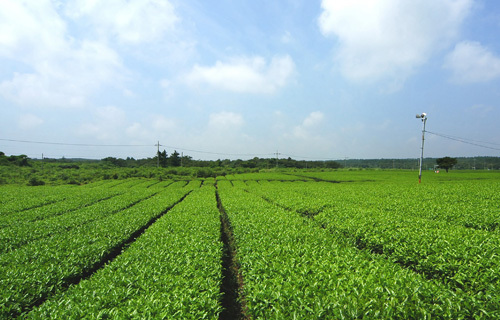 환경